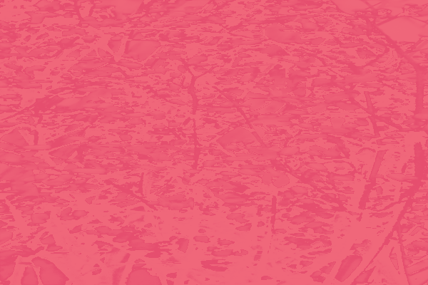 Back Ground Design Colors / Images