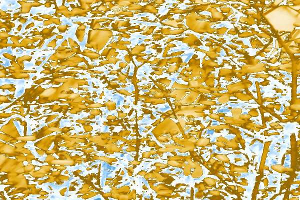 Back Ground Design Colors / Images