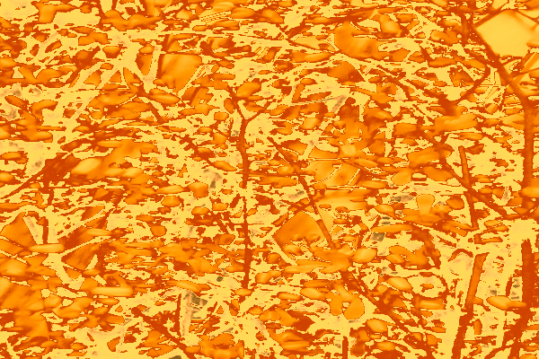 Back Ground Design Colors / Images