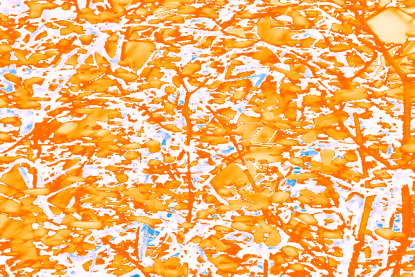 Back Ground Design Colors / Images