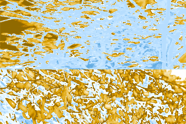 Back Ground Design Colors / Images