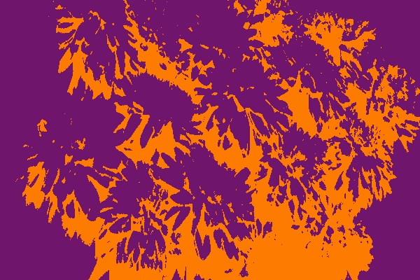Back Ground Design Colors / Images