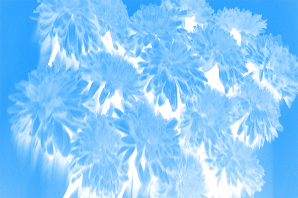 Back Ground Design Colors / Images