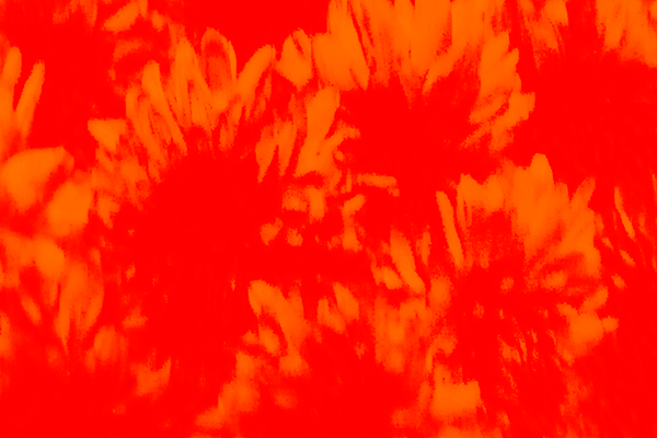 Back Ground Design Colors / Images