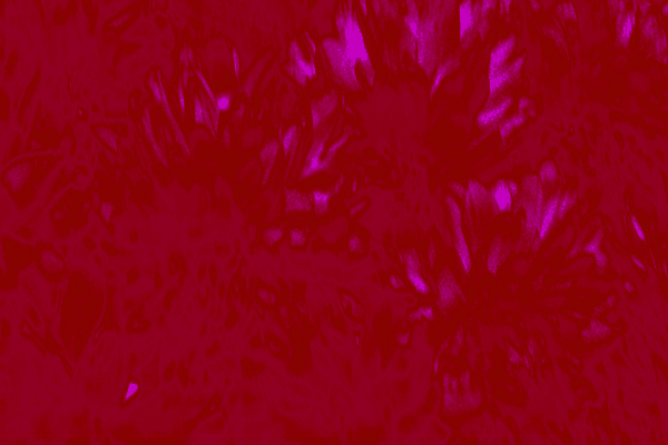 Back Ground Design Colors / Images