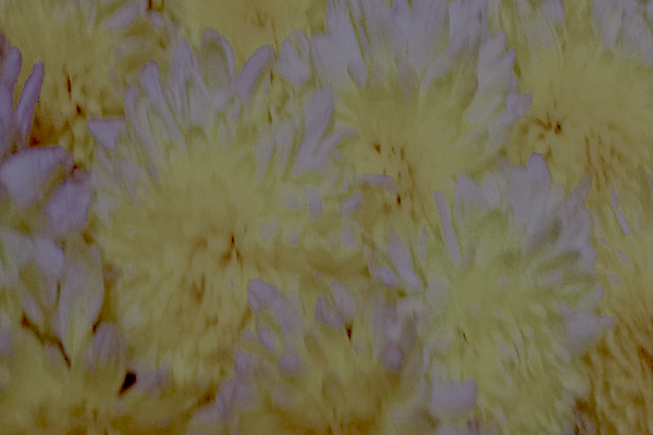 Back Ground Design Colors / Images