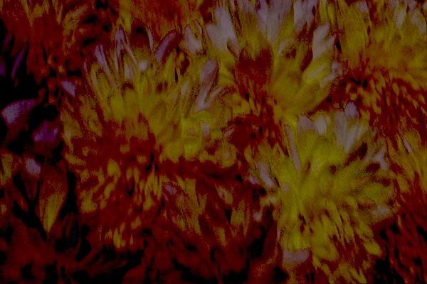 Back Ground Design Colors / Images