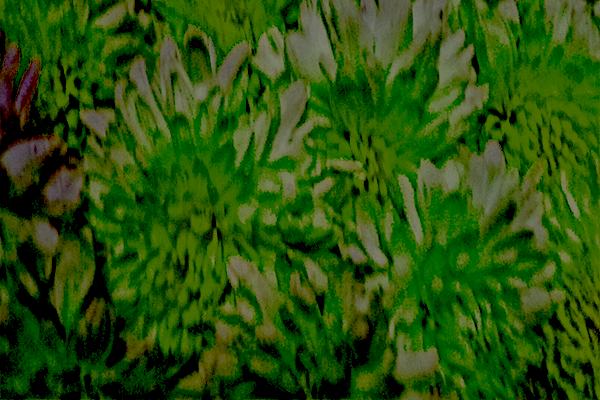 Back Ground Design Colors / Images
