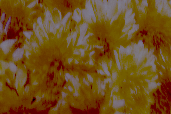 Back Ground Design Colors / Images