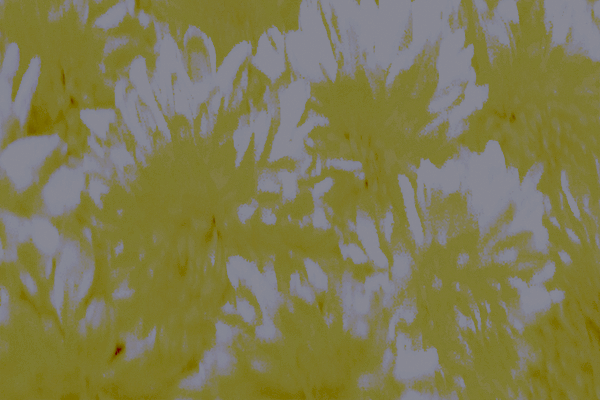 Back Ground Design Colors / Images