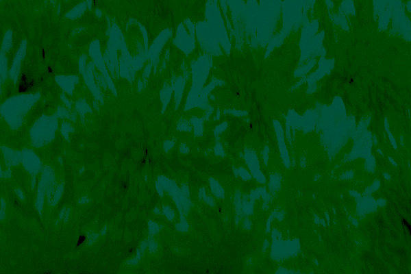 Back Ground Design Colors / Images
