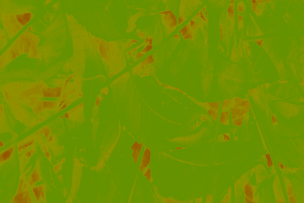 Back Ground Design Colors / Images