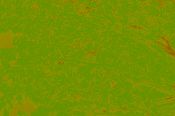 Back Ground Design Colors / Images