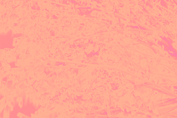 Back Ground Design Colors / Images