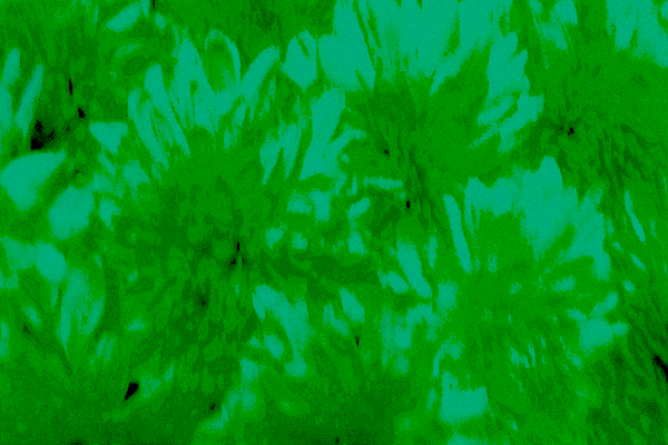 Back Ground Design Colors / Images