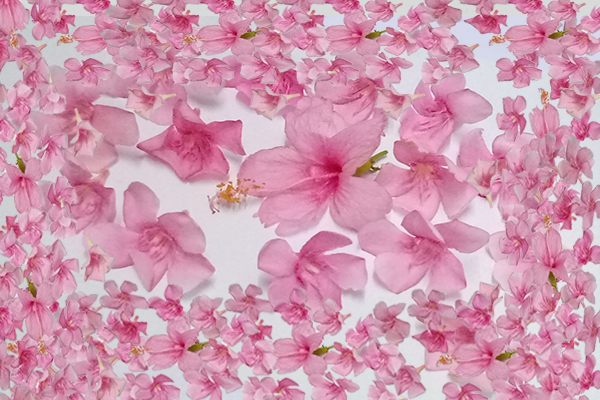 Back Ground Design Colors / Images