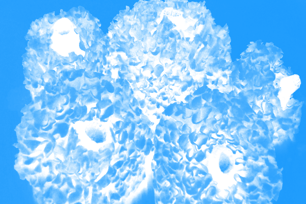 Back Ground Design Colors / Images