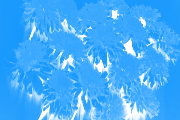 Back Ground Design Colors / Images