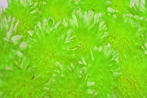 Back Ground Design Colors / Images
