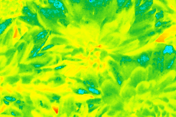 Back Ground Design Colors / Images