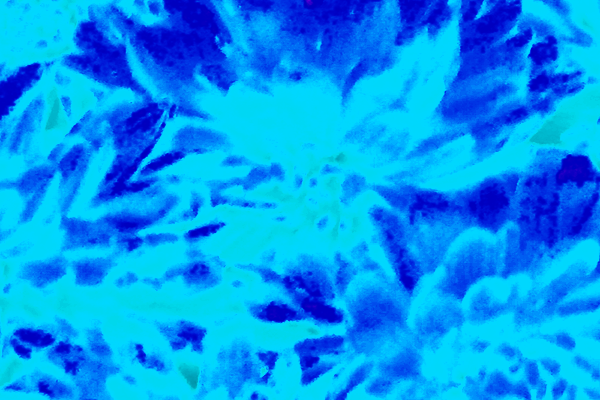 Back Ground Design Colors / Images