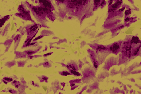 Back Ground Design Colors / Images