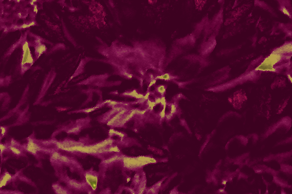Back Ground Design Colors / Images