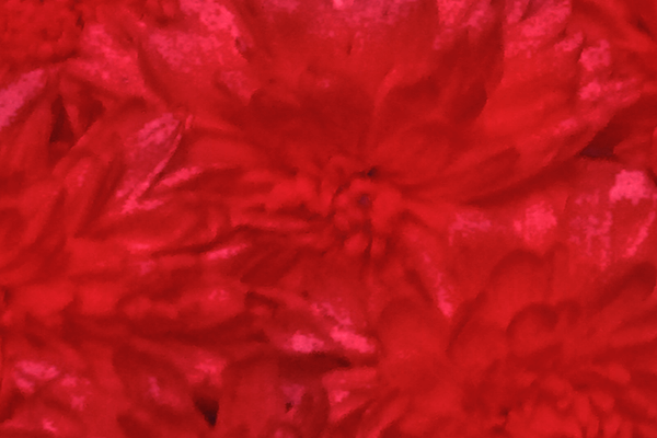 Back Ground Design Colors / Images
