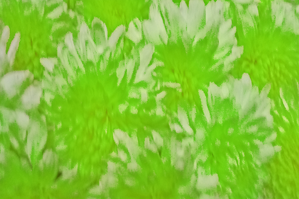 Back Ground Design Colors / Images