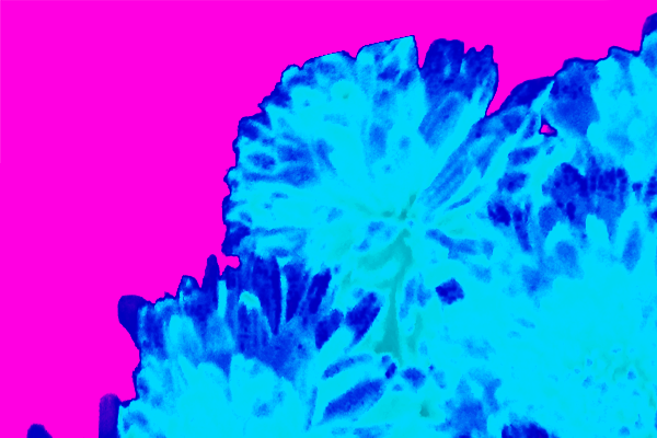Back Ground Design Colors / Images