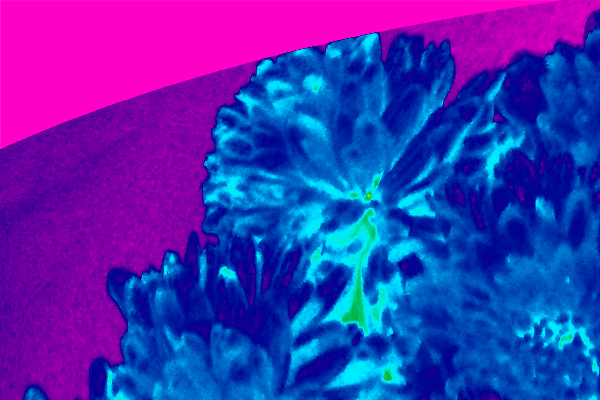 Back Ground Design Colors / Images