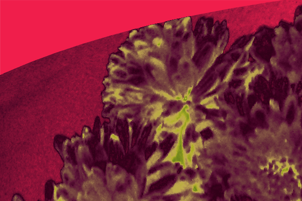 Back Ground Design Colors / Images
