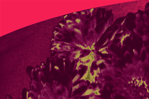 Back Ground Design Colors / Images