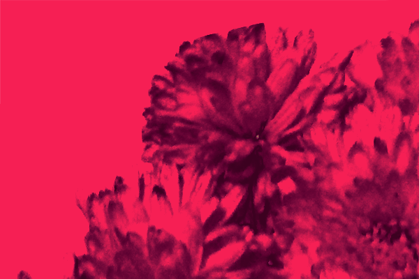 Back Ground Design Colors / Images