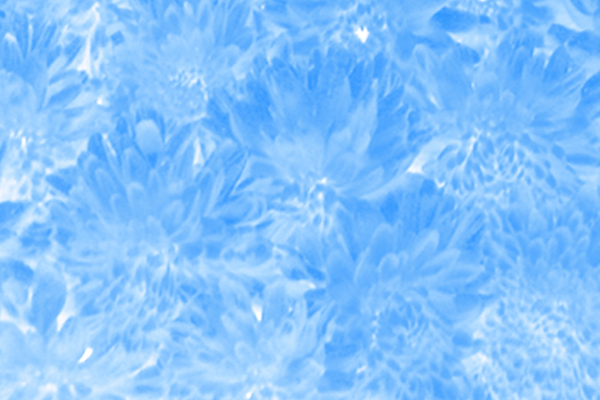 Back Ground Design Colors / Images