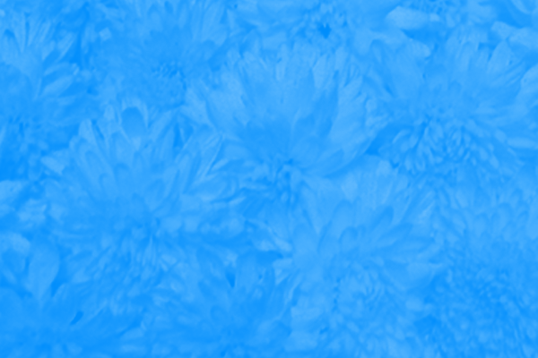 Back Ground Design Colors / Images