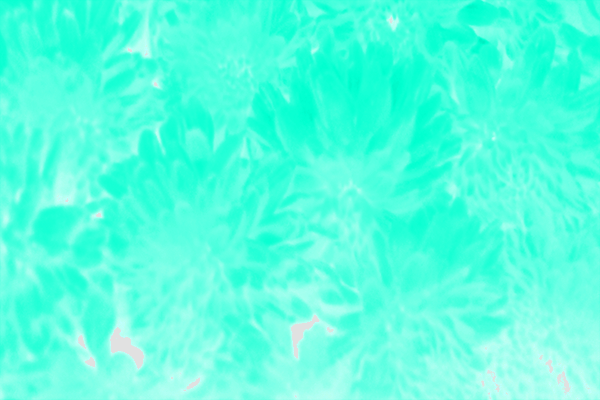 Back Ground Design Colors / Images