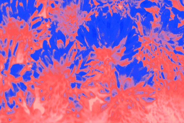 Back Ground Design Colors / Images