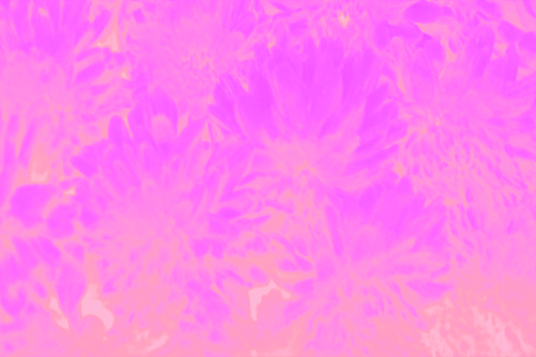 Back Ground Design Colors / Images