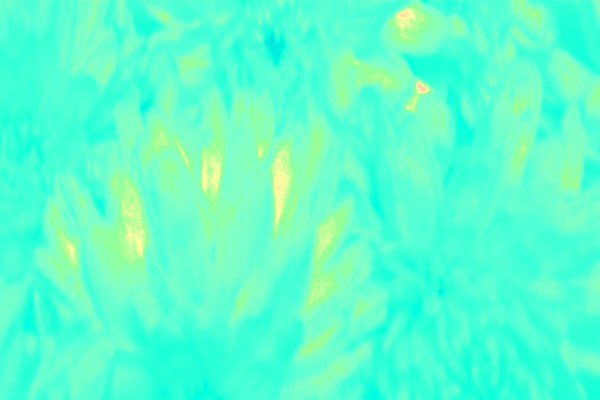 Back Ground Design Colors / Images