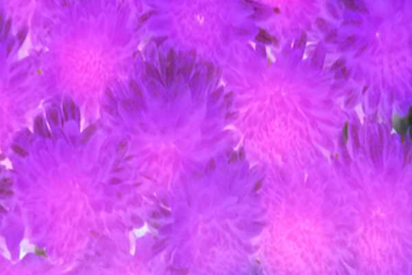 Back Ground Design Colors / Images