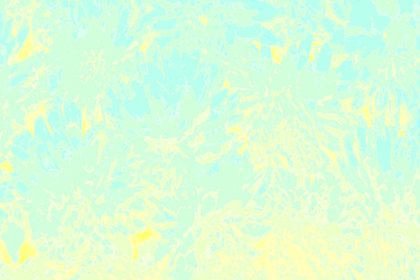 Back Ground Design Colors / Images