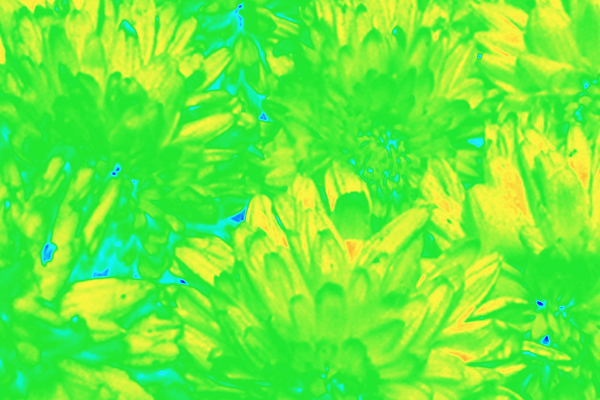 Back Ground Design Colors / Images