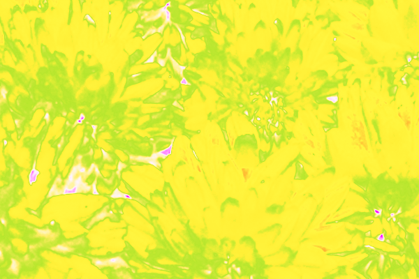 Back Ground Design Colors / Images