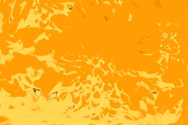 Back Ground Design Colors / Images