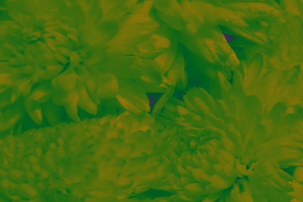 Back Ground Design Colors / Images