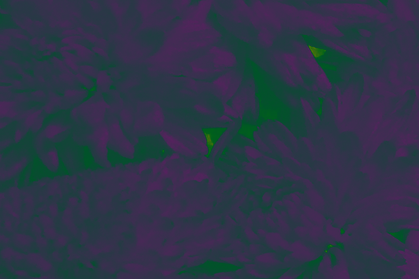 Back Ground Design Colors / Images