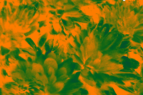Back Ground Design Colors / Images