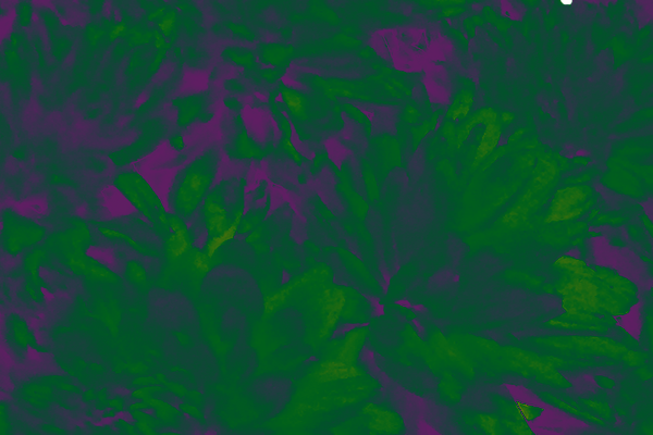 Back Ground Design Colors / Images