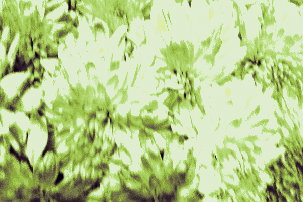 Back Ground Design Colors / Images